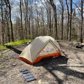 Review photo of Green Mountain National Forest FR207 by Joann&WellsThePup I., July 9, 2021