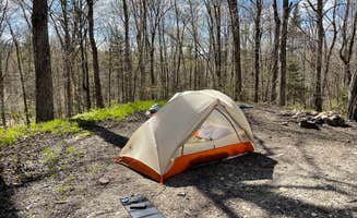 Joann&WellsThePup I.'s photo at Green Mountain National Forest FR207 near Bristol, VT
