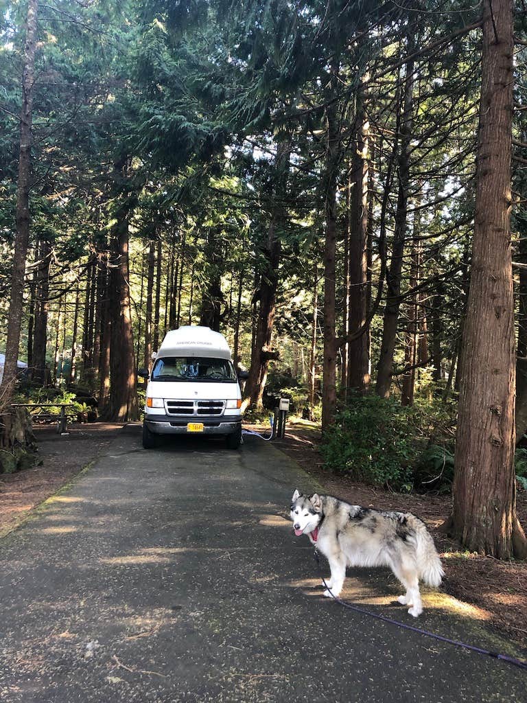 Kathy B.'s photo of camping with pets at Cape Lookout State Park Campground near Wheeler, OR