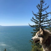 Review photo of Cape Lookout State Park by Kathy B., July 9, 2021