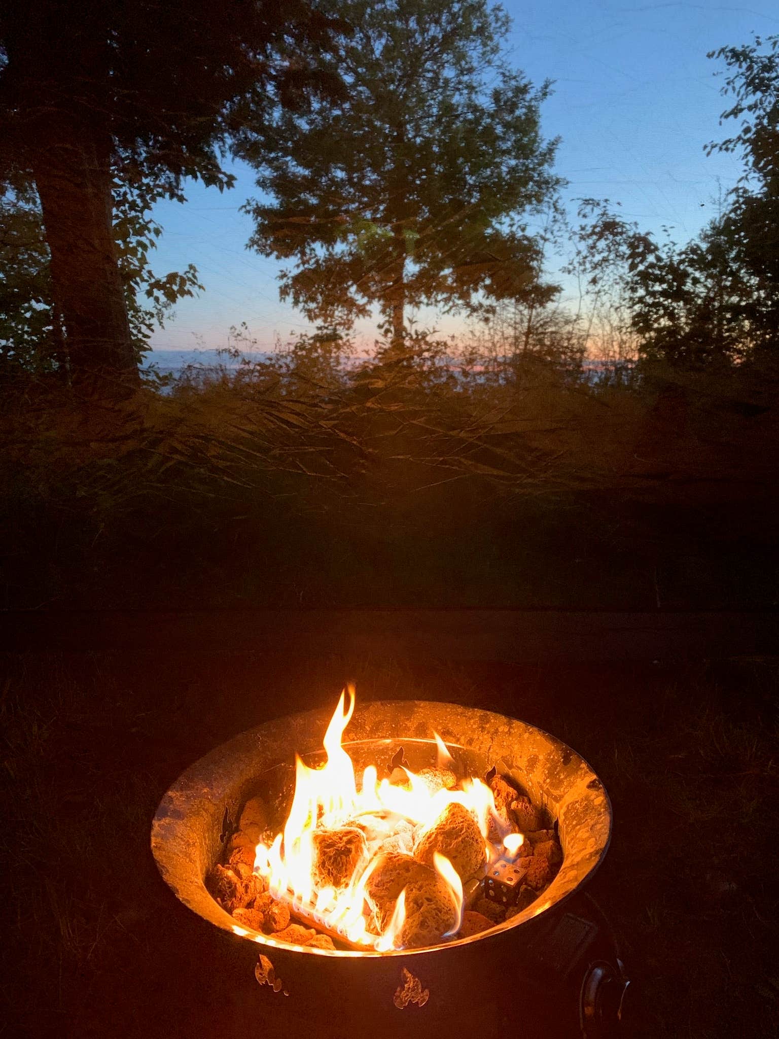 Camper submitted image from Hog Island Point State Forest Campground - 1