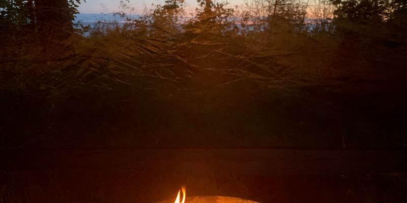 Camper submitted image from Hog Island Point State Forest Campground