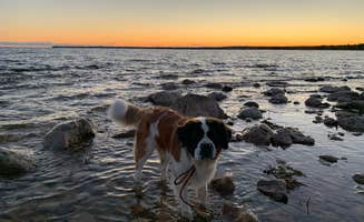 Darla F.'s photo of camping with pets at Hog Island Point State Forest Campground near Naubinway, MI
