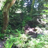 Review photo of Larrabee State Park Campground by Colleen T., July 17, 2016