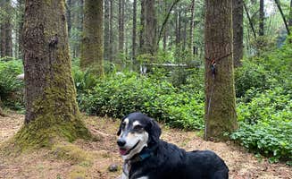 marycatmathis ..'s photo of camping with pets at Abalone Campground near Arcata, CA