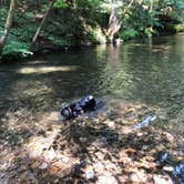 Review photo of Moss Creek Campground by Kim , July 9, 2021