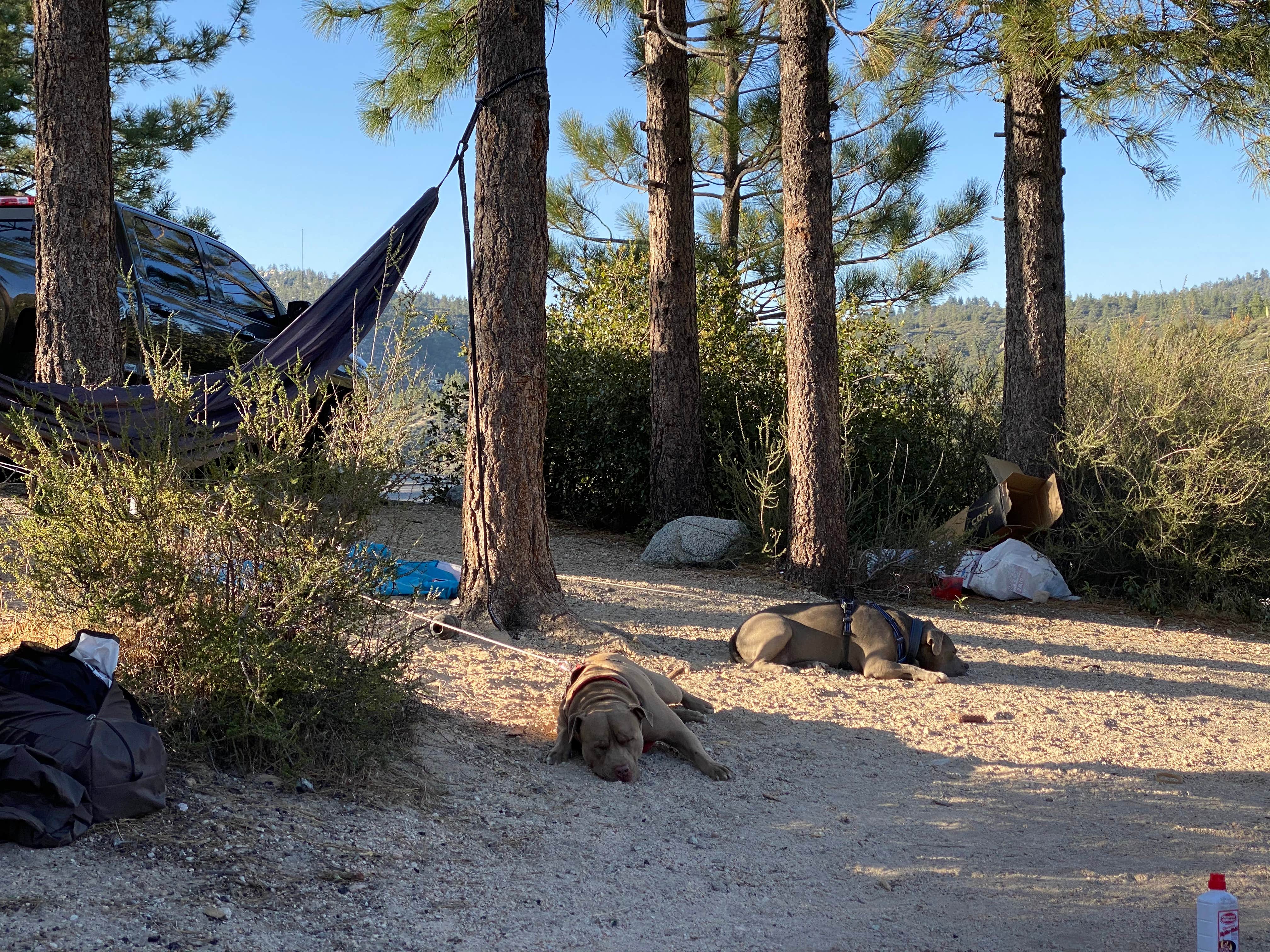 Bryan's photo at Chilao Campground near Acton, CA