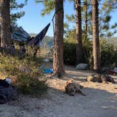 Review photo of Chilao Campground by Bryan , July 9, 2021