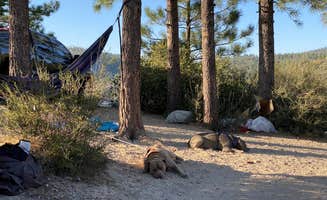 Bryan's photo at Chilao Campground near Angeles National Forest