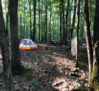 Camper-submitted photo from Bald Eagle State Forest