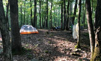 Joann&WellsThePup I.'s photo at Bald Eagle State Forest in Pennsylvania