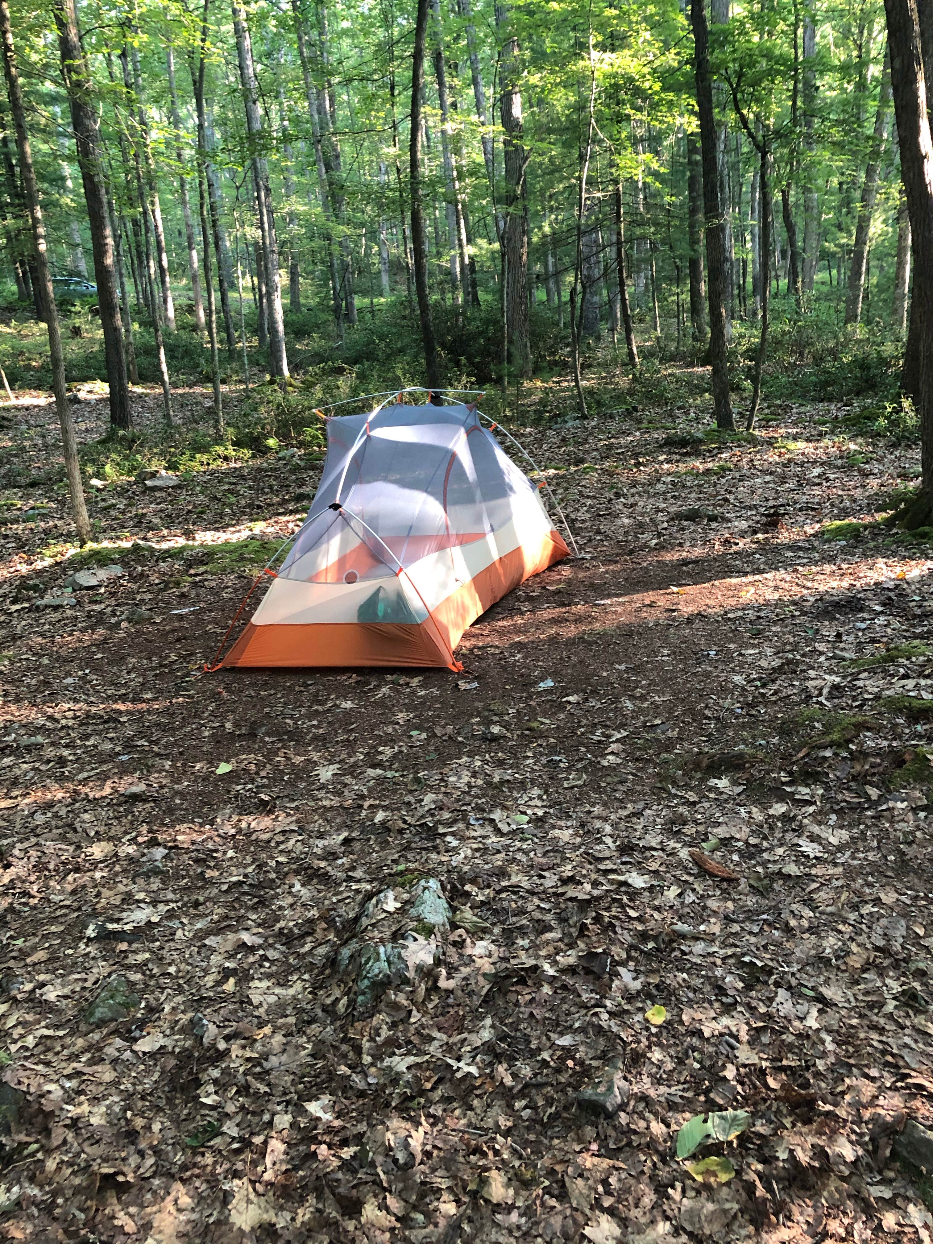 Camper-submitted photo at Bald Eagle State Forest near Loganton, PA
