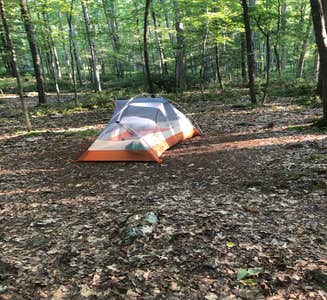 Camper-submitted photo from Colonel Denning State Park Campground