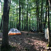 Review photo of Bald Eagle State Forest by Joann&WellsThePup I., July 9, 2021