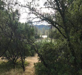 Camper-submitted photo from Oak Bottom Marina RV & Campground — Whiskeytown-Shasta-Trinity National Recreation Area