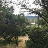 Review photo of Oak Bottom Marina RV & Campground — Whiskeytown-Shasta-Trinity National Recreation Area by Jennifer M., June 13, 2018