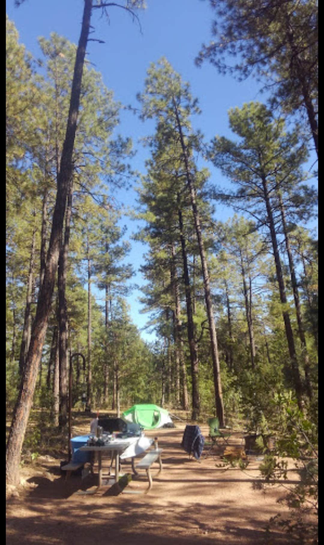 Camper submitted image from Sharp Creek - 5