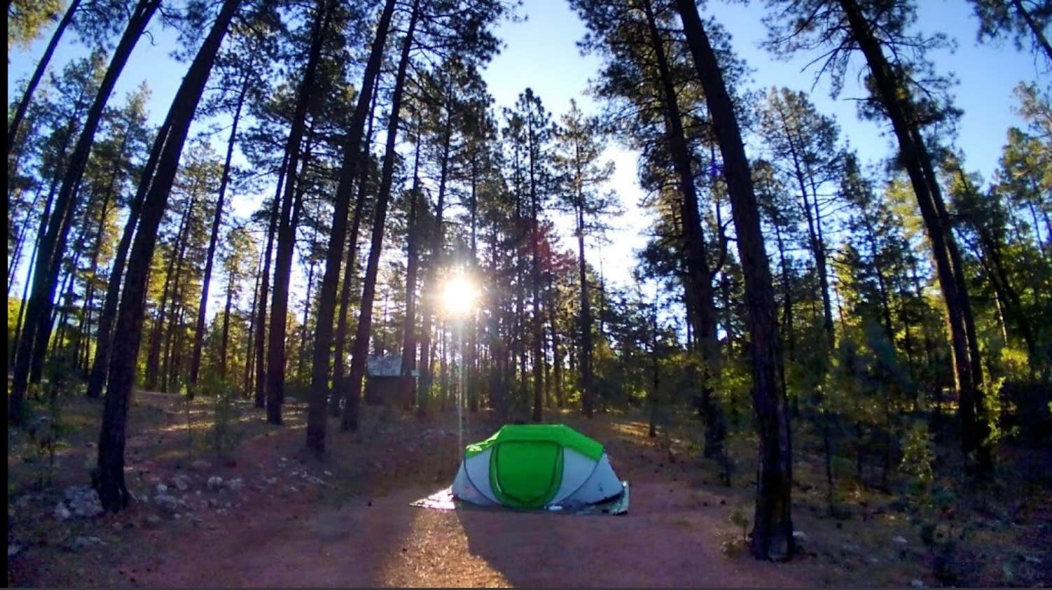 Susanne C.'s photo at Sharp Creek near Young, AZ