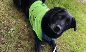 Bill  G.'s photo of camping with pets at New Germany State Park Campground near Cumberland, MD