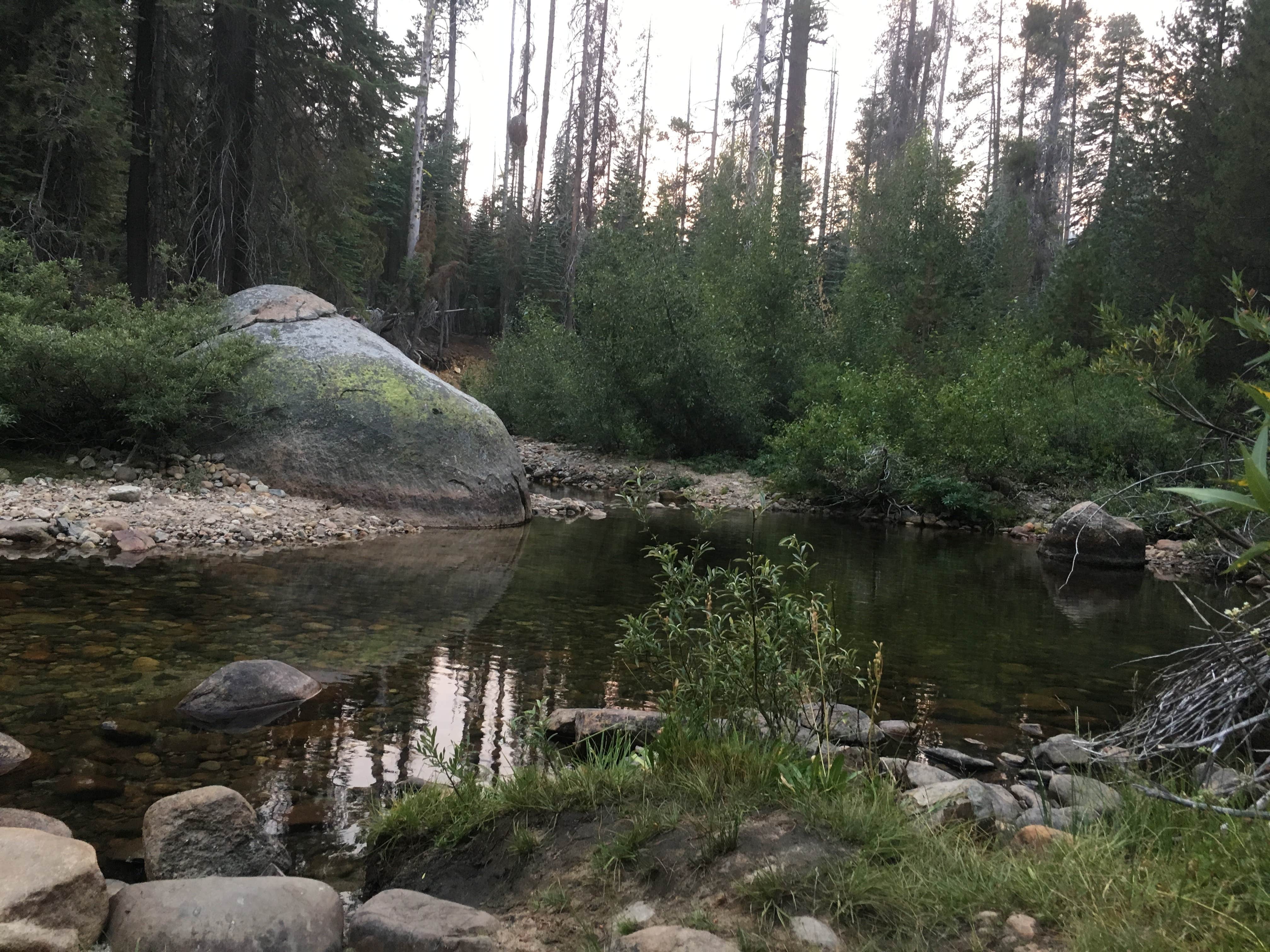 Camping near Beasore Meadows RV Park: Upper Chiquito Campground, Fish Camp, California