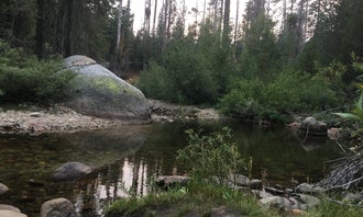 Camping near Sweetwater: Upper Chiquito Campground, Fish Camp, California