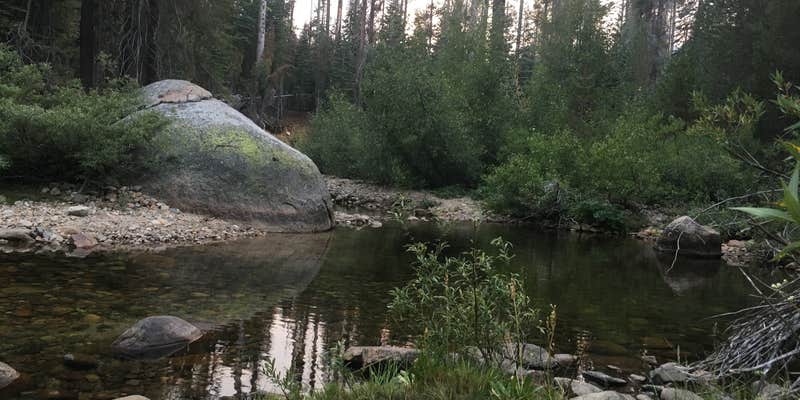 Camper submitted image from Upper Chiquito Campground