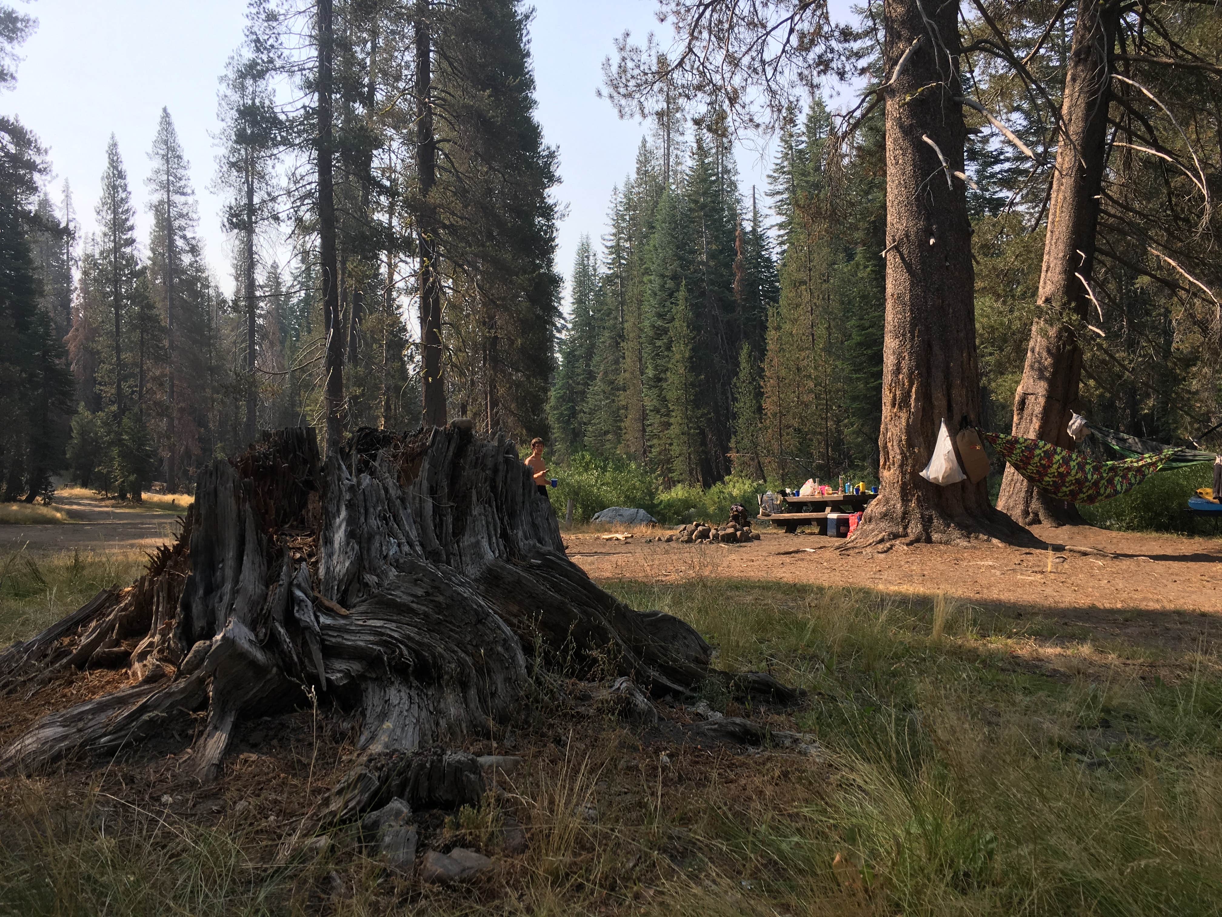 Camper submitted image from Upper Chiquito Campground - 2