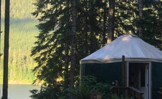 Amelia A.'s photo at Coho Campground near Amanda Park, WA