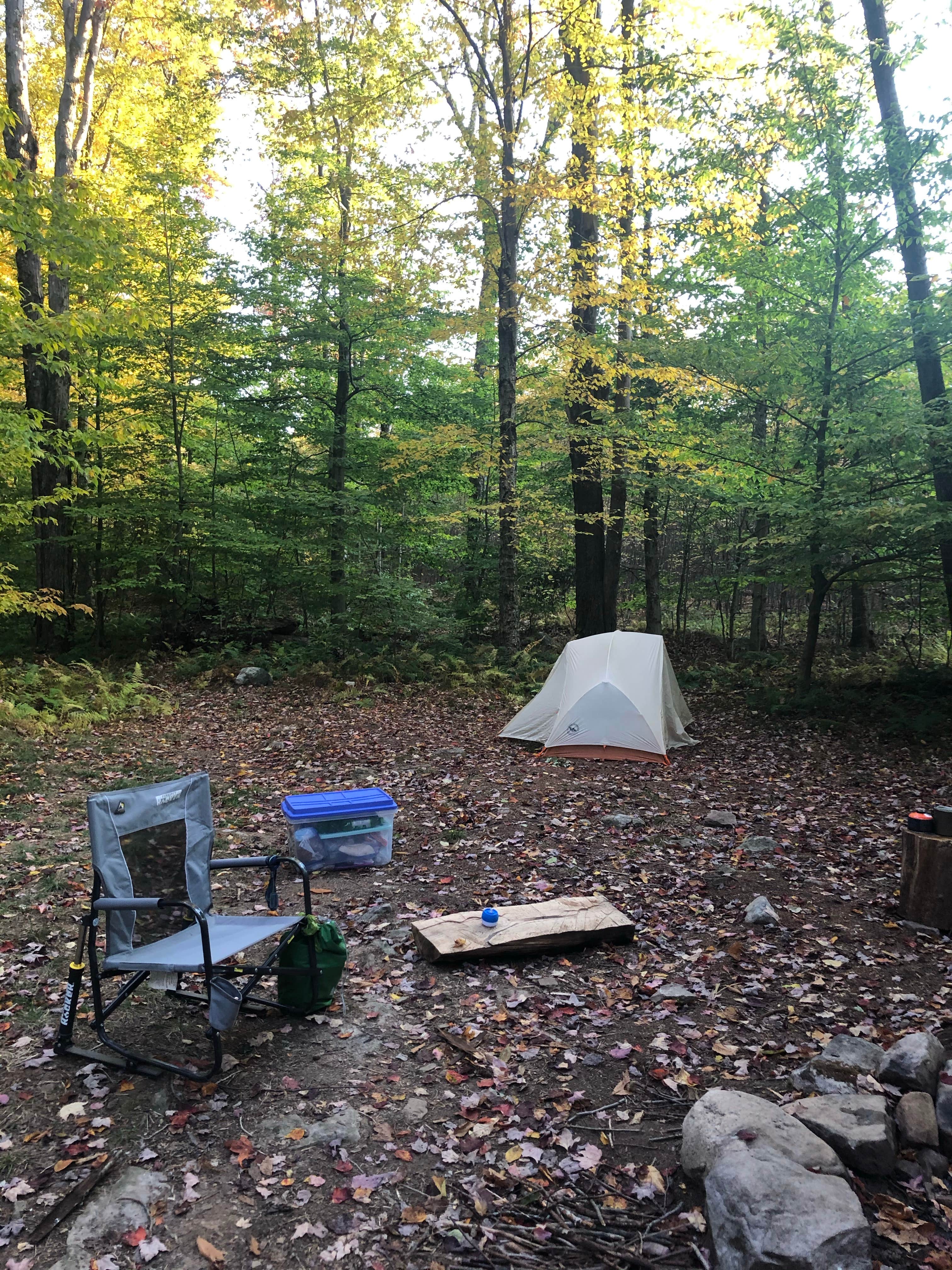 Camper-submitted photo at Big Hollow Road Campsites — Loyalsock State Forest near Eagles Mere, PA
