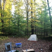 Review photo of Loyalsock State Forest by Joann&WellsThePup I., July 9, 2021