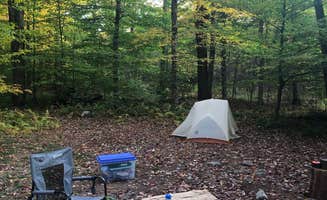 Joann&WellsThePup I.'s photo at Big Hollow Road Campsites — Loyalsock State Forest near Forksville, PA