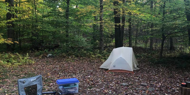 Camper submitted image from Big Hollow Road Campsites — Loyalsock State Forest
