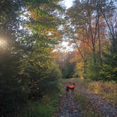 Review photo of Loyalsock State Forest by Joann&WellsThePup I., July 9, 2021