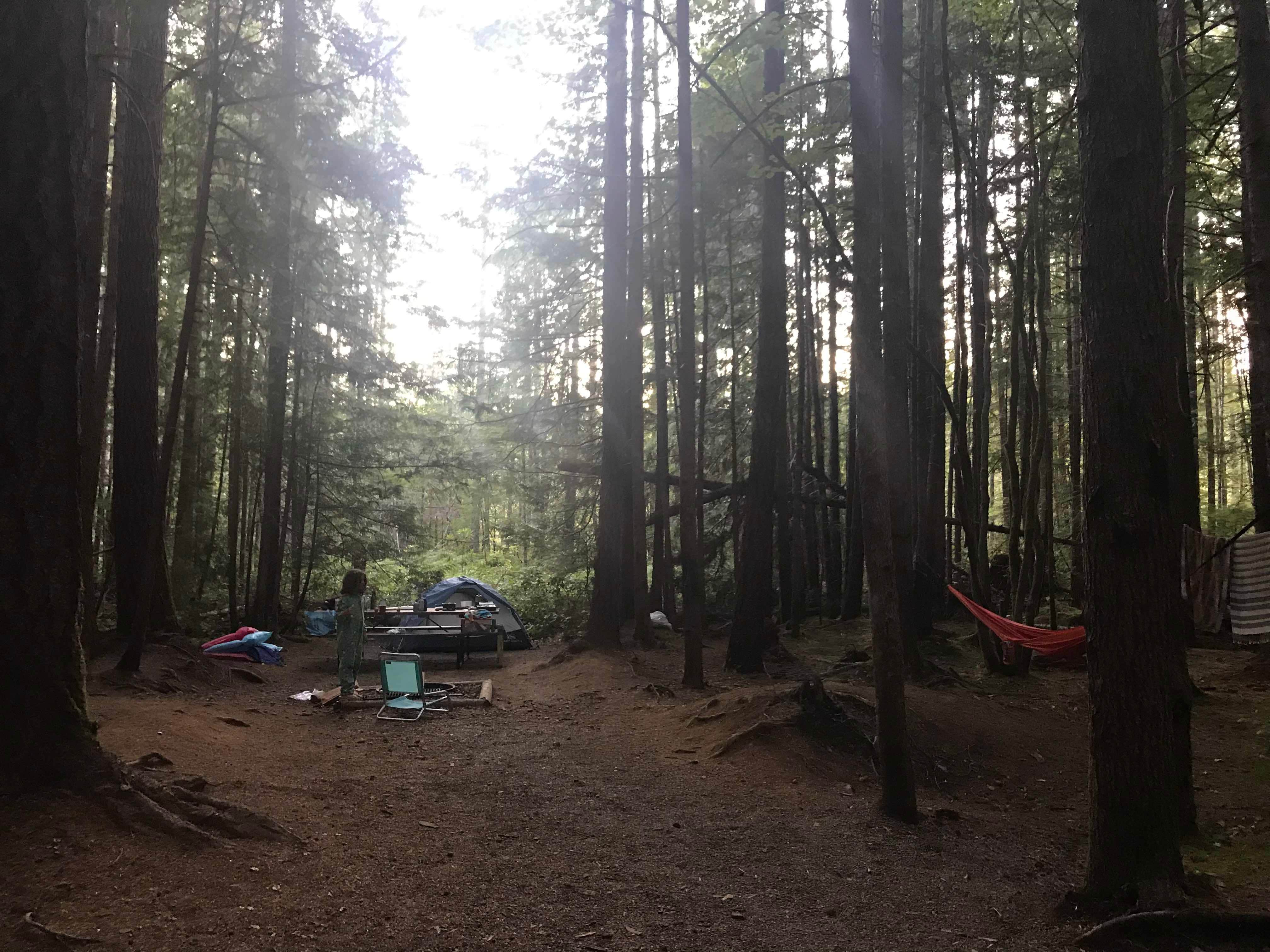 Amelia A.'s photo at Skokomish Park at Lake Cushman near Matlock, WA