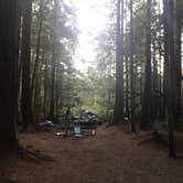 Review photo of Skokomish Park at Lake Cushman by Amelia A., July 9, 2021