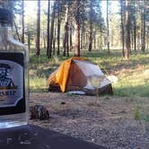 Review photo of Union Creek Campground by Michael , July 9, 2021