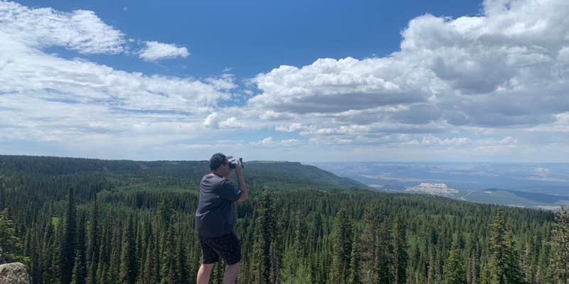 Camper submitted image from Cobbett Lake