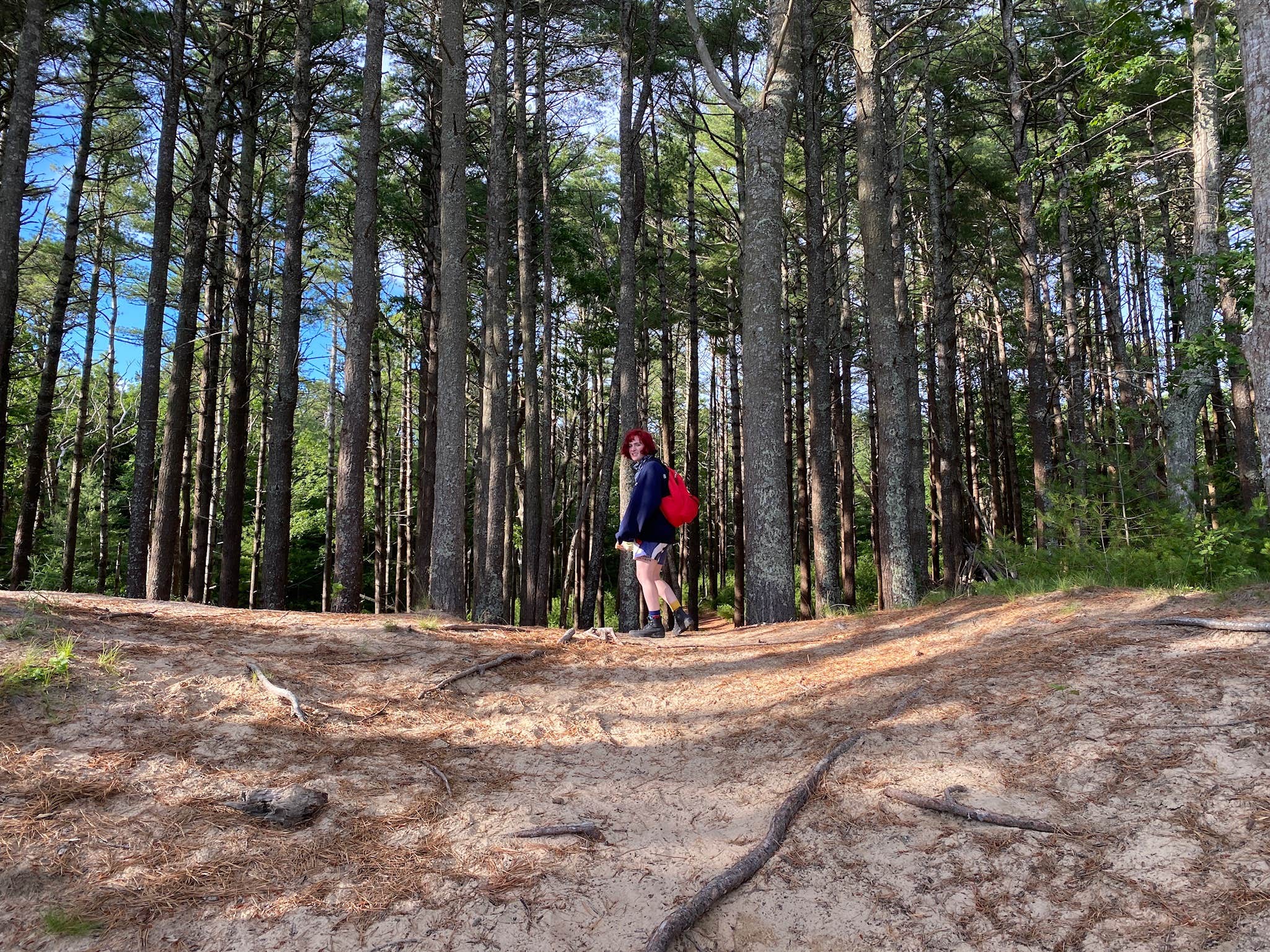 Nickerson State Park | The Dyrt