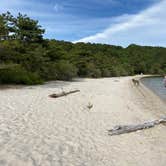 Review photo of Nickerson State Park Campground by Amy B., July 9, 2021