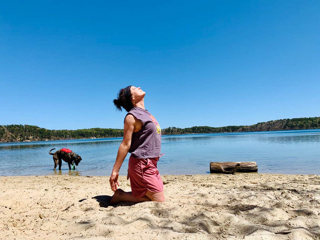 Amy B.'s photo of camping with pets at Nickerson State Park Campground in Massachusetts