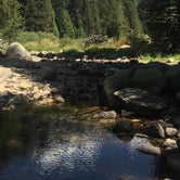Review photo of Lodgepole Campground — Sequoia National Park by Travis D., July 9, 2021