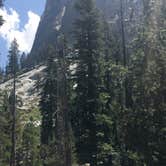 Review photo of Lodgepole Campground — Sequoia National Park by Travis D., July 9, 2021