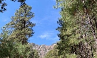 Camping near Upper Arcadia: Upper Twilight Group Site, Thatcher, Arizona