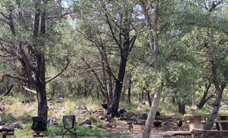Camping near Bog Springs Campground: Madera Canyon Picnic Area, Amado, Arizona
