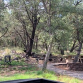 Review photo of Madera Canyon Picnic Area by Michael B., July 9, 2021