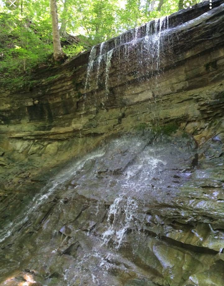 Camper-submitted photo at Salamonie River State Forest near Arcola, IN