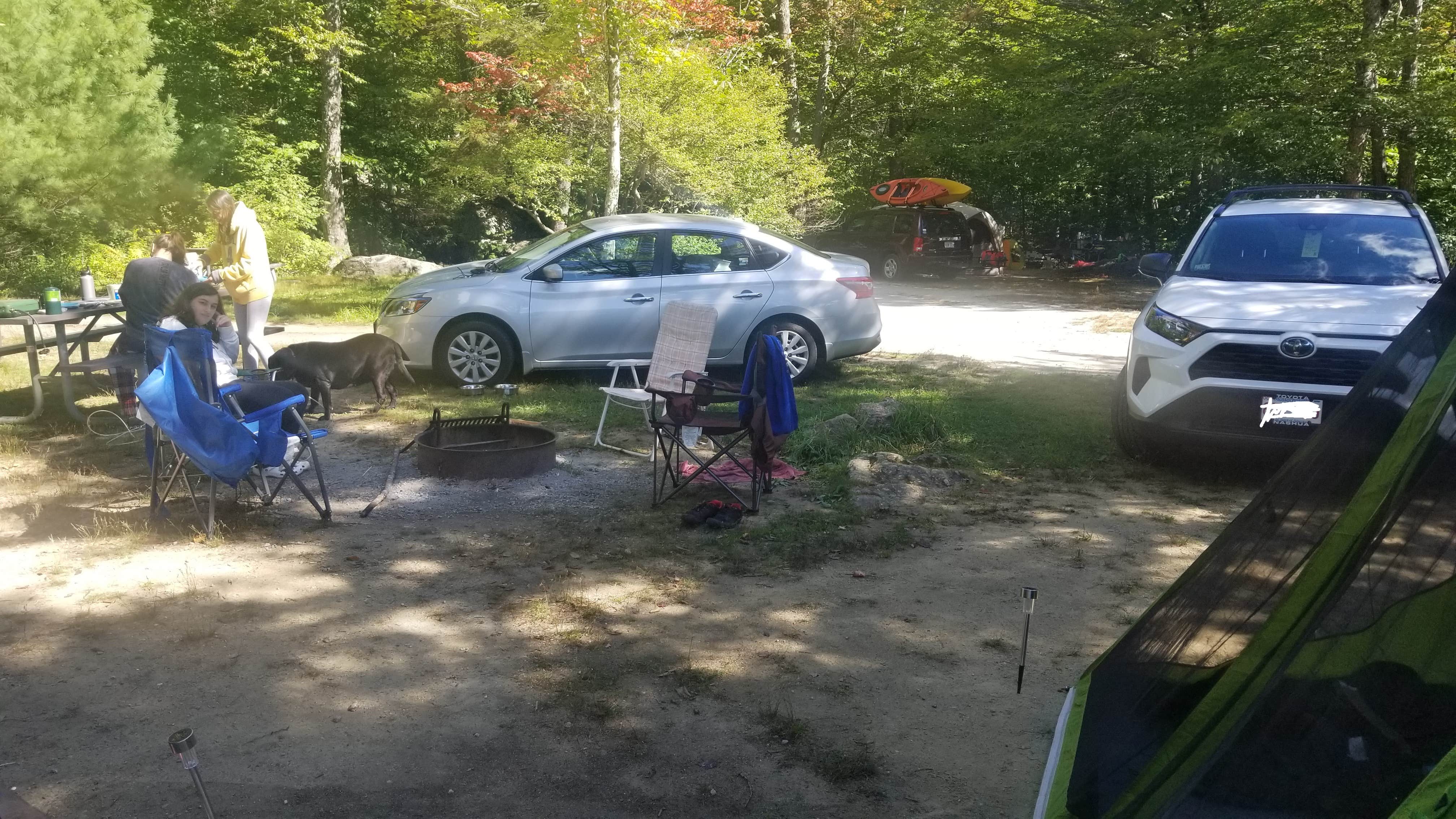 Brandon C.'s photo at Pillsbury State Park Campground near Walpole, NH