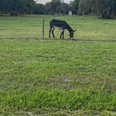 Review photo of Resort at Canopy Oaks by Nelivette M., July 9, 2021