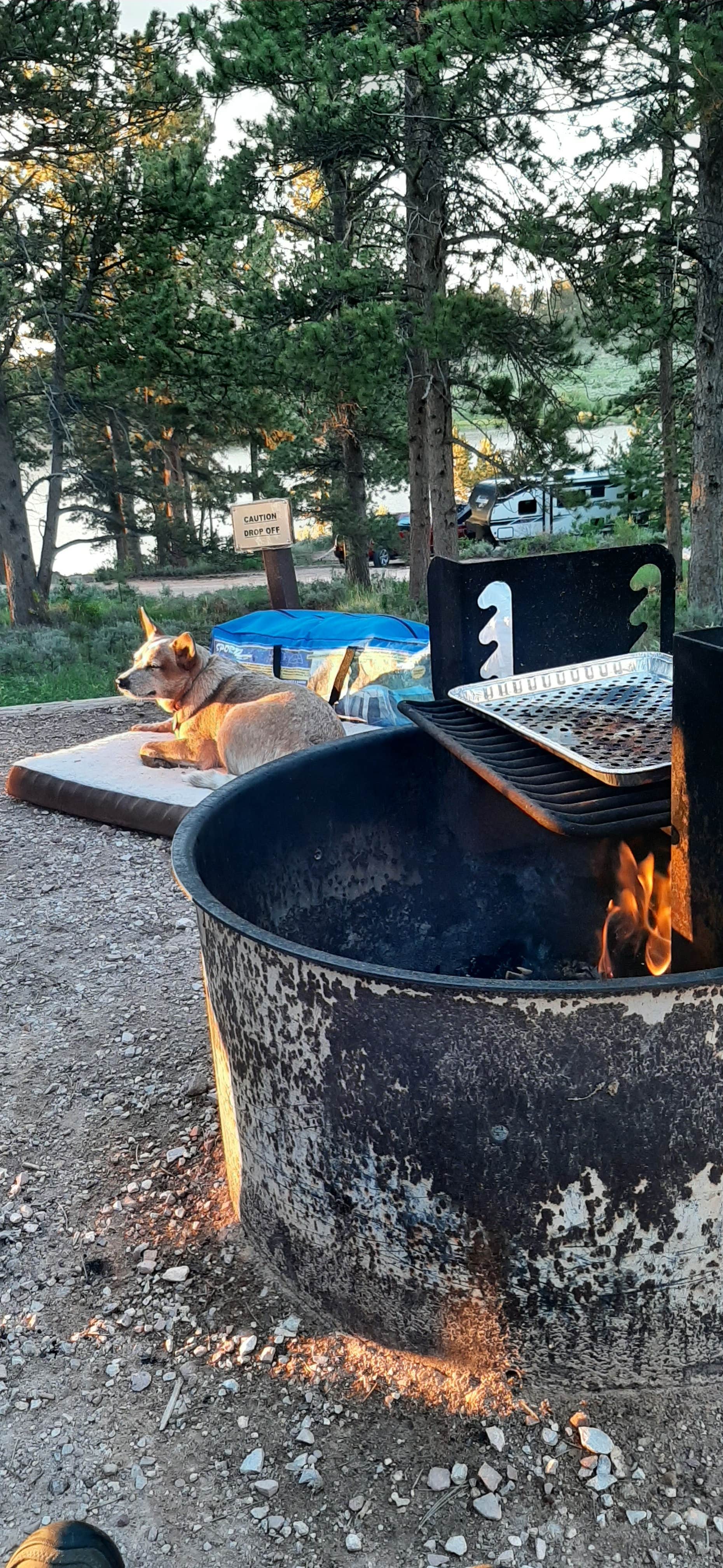 MaryAnn's photo of camping with pets at West Lake near Arapaho & Roosevelt National Forests Pawnee NG