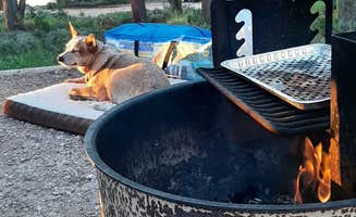 MaryAnn's photo of camping with pets at West Lake near Livermore, CO